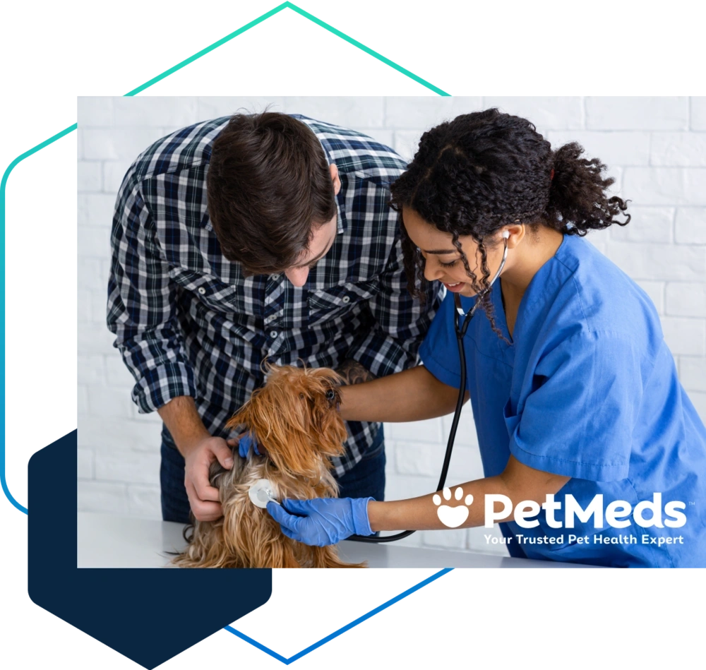 Helping PetMeds expand to new markets