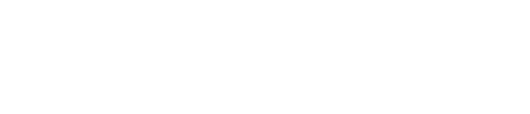 DisputeBee Automates the Entire Fraud Prevention Process with Kount